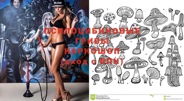 твердый Бронницы