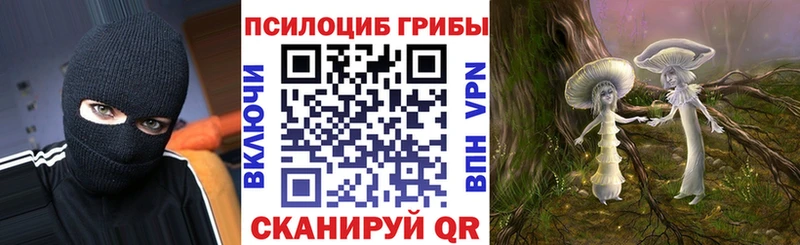 что такое наркотик  Дигора  Галлюциногенные грибы прущие грибы 