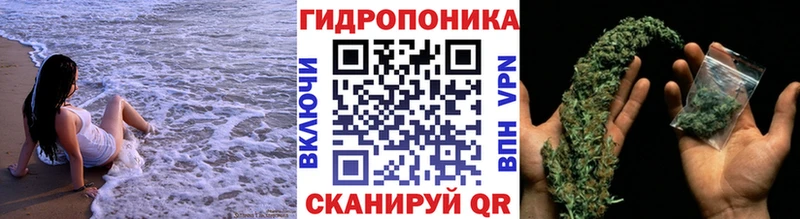 Марихуана VHQ цена Дигора